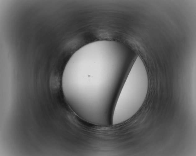 X0000088440081200705220923