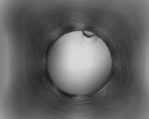 X0000088440082200705220923