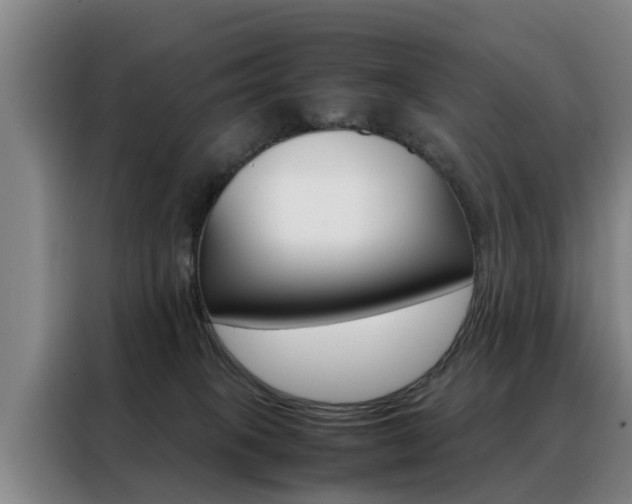 X0000088440085200705220923