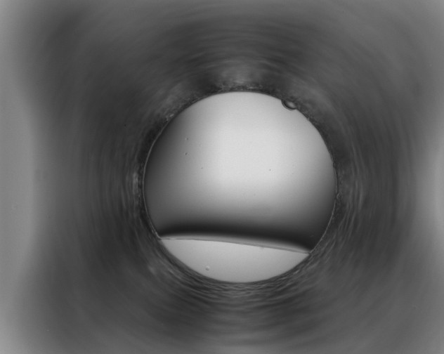 X0000088440087200705220924