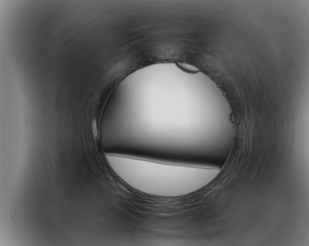 X0000088440089200705220924