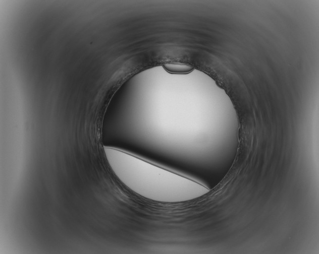 X0000088440091200705220924