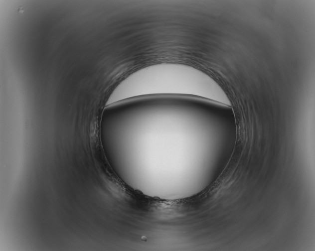 X0000088440092200705220924
