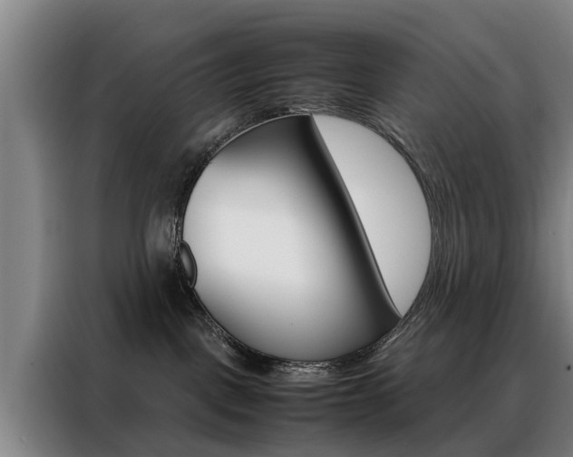 X0000088440093200705220924