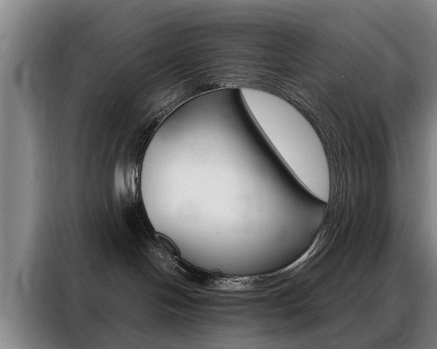 X0000088440094200705220924