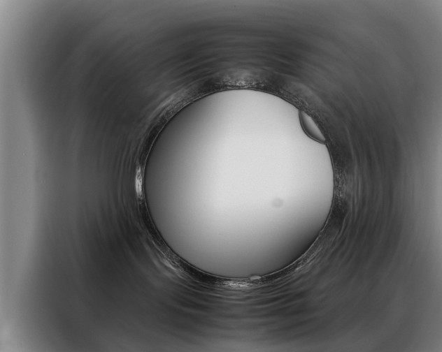 X0000088440095200705220924