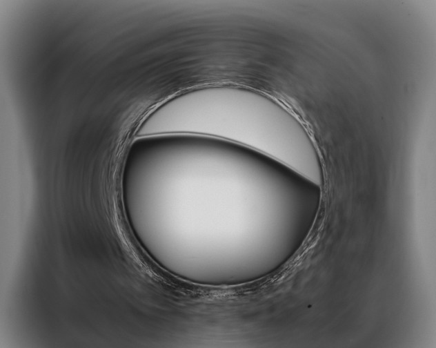 X0000088440097200705220923
