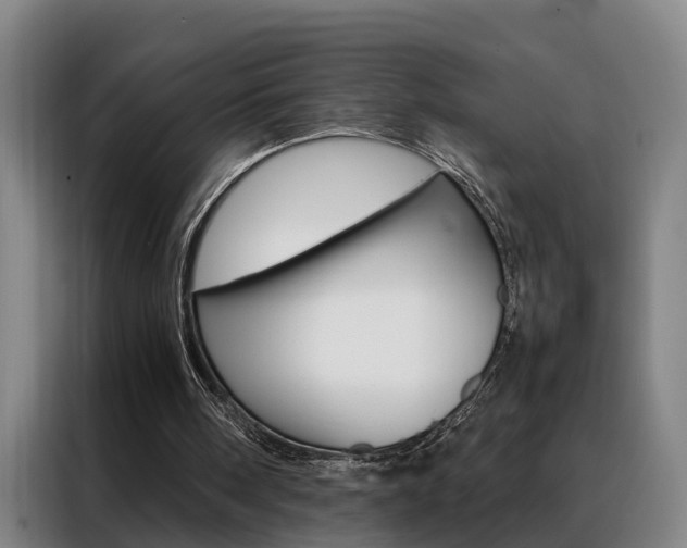 X0000088440098200705220923