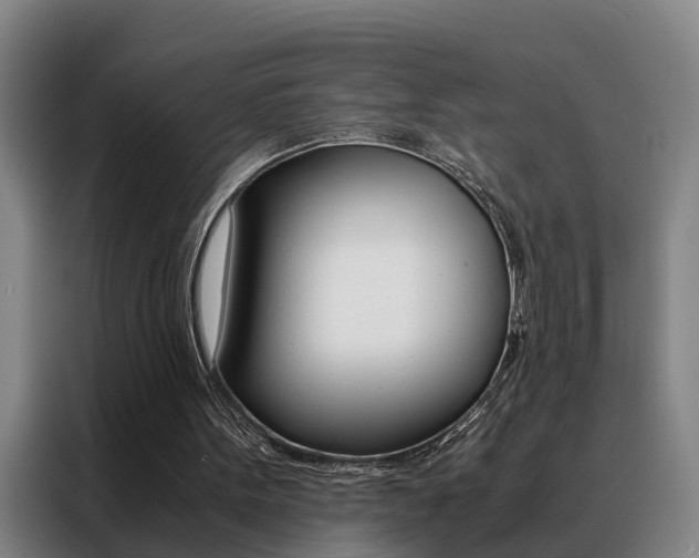 X0000088440099200705220923