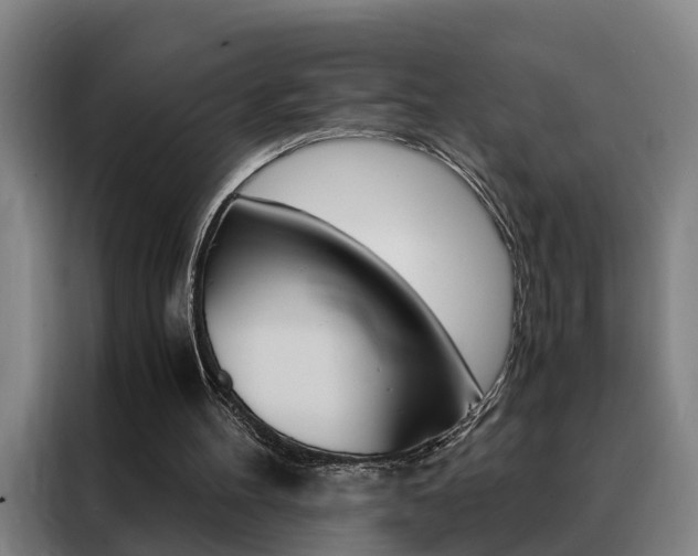 X0000088440100200705220923