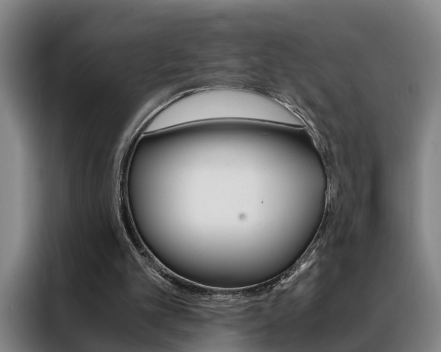 X0000088440101200705220923