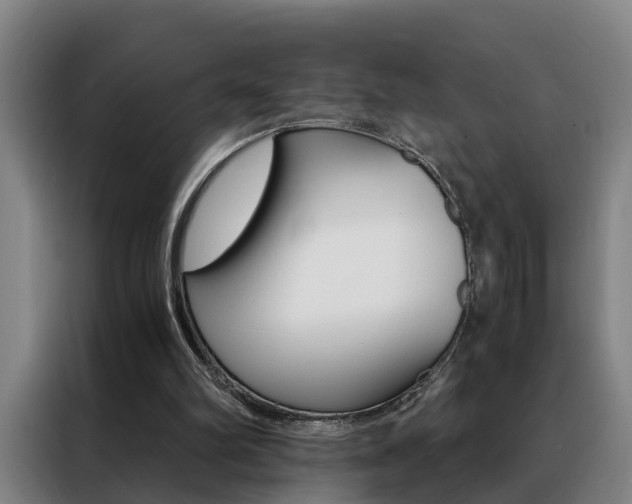 X0000088440102200705220923