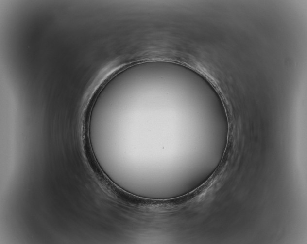 X0000088440103200705220923