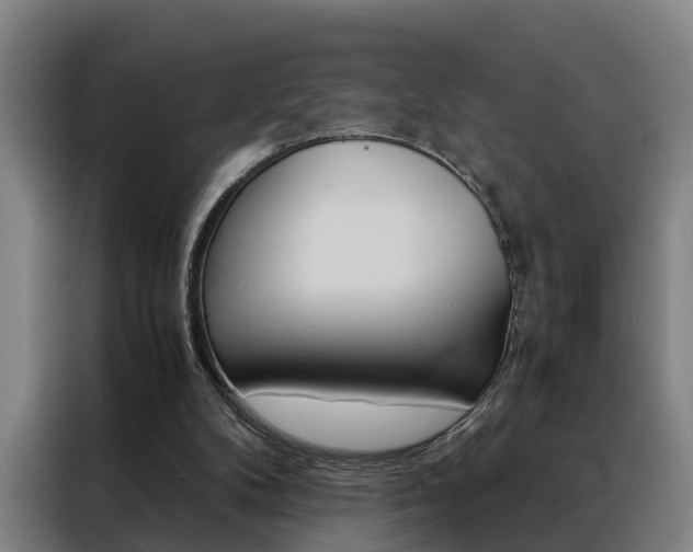 X0000088440104200705220923