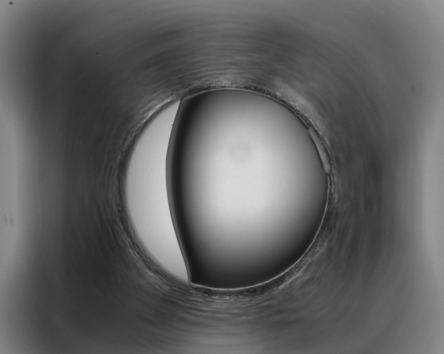 X0000088440105200705220923