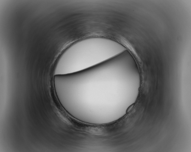 X0000088440106200705220923