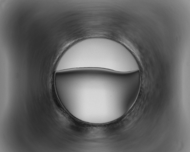 X0000088440107200705220923