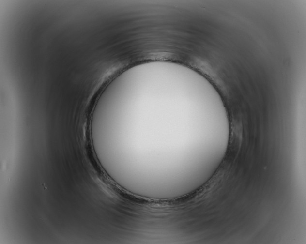 X0000088440110200705220923