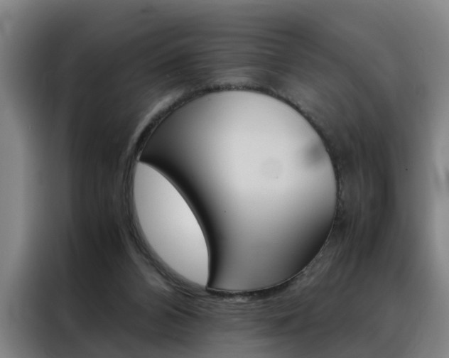 X0000088440112200705220923