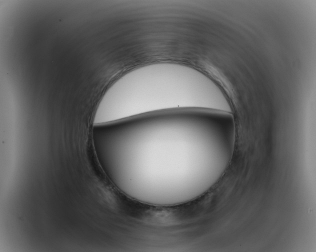 X0000088440113200705220923