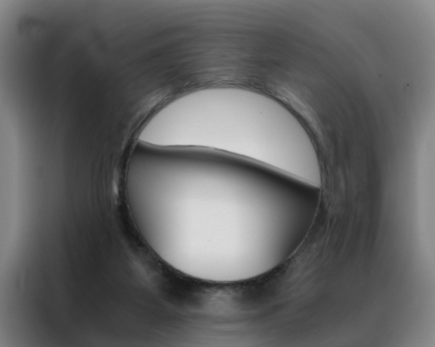 X0000088440115200705220923