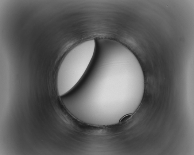 X0000088440116200705220923