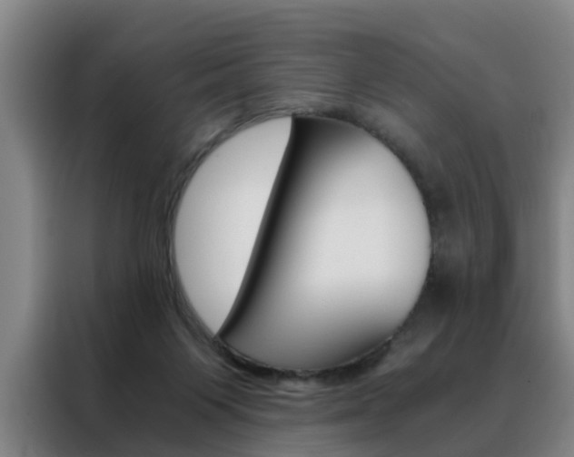 X0000088440119200705220923