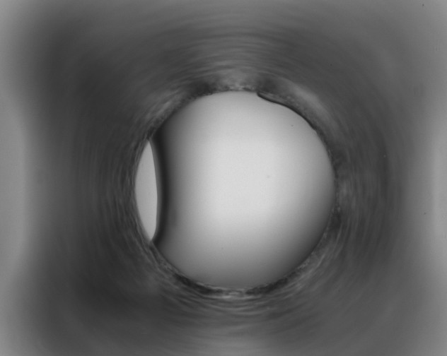 X0000088440121200705220923