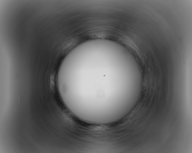 X0000088440122200705220923