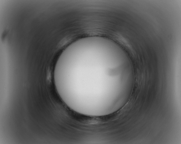X0000088440124200705220922