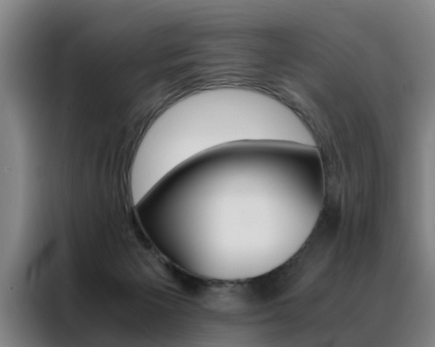 X0000088440125200705220922
