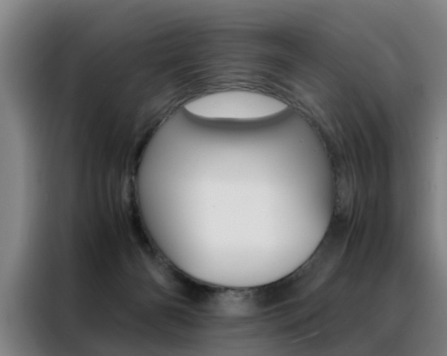 X0000088440126200705220922