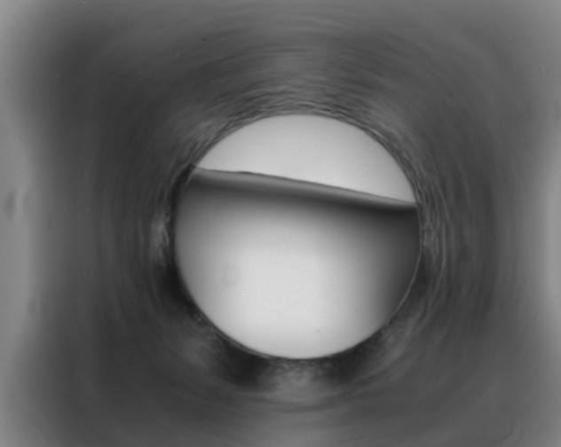X0000088440127200705220922