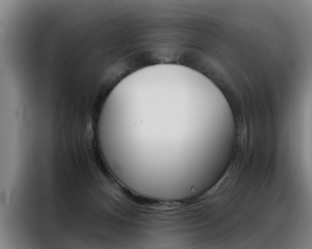 X0000088440128200705220922