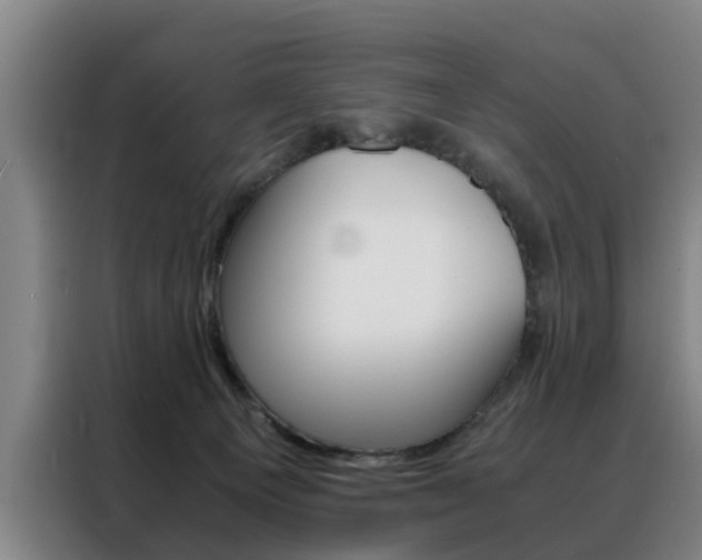 X0000088440129200705220922