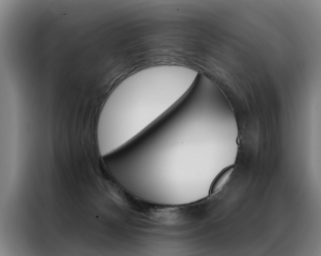 X0000088440132200705220922
