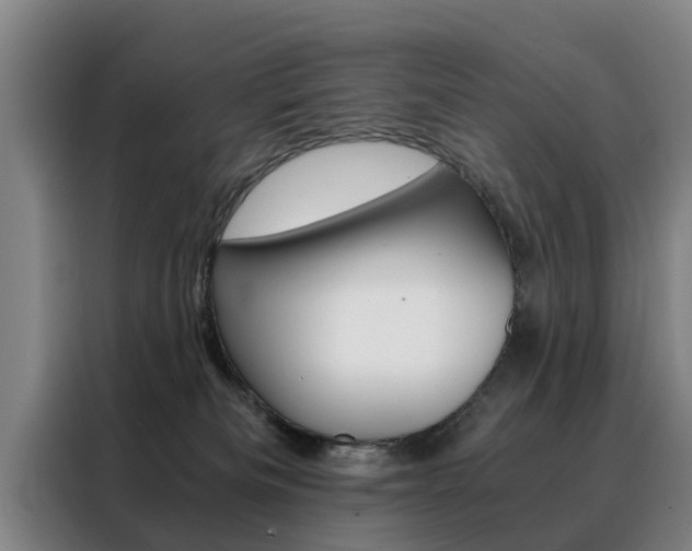 X0000088440133200705220922