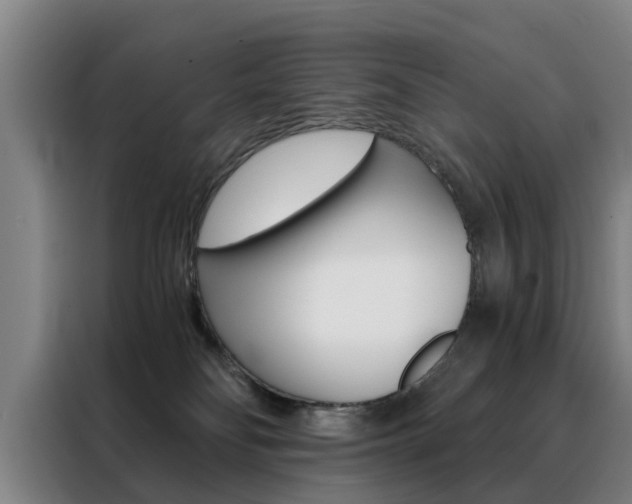 X0000088440134200705220922