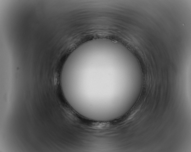 X0000088440135200705220922
