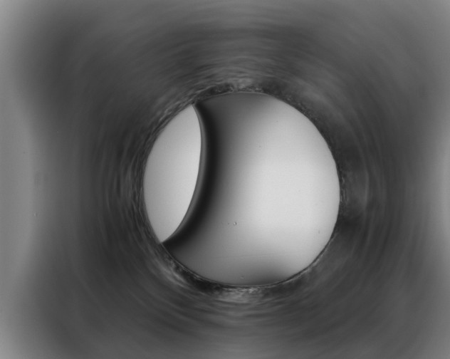 X0000088440136200705220922