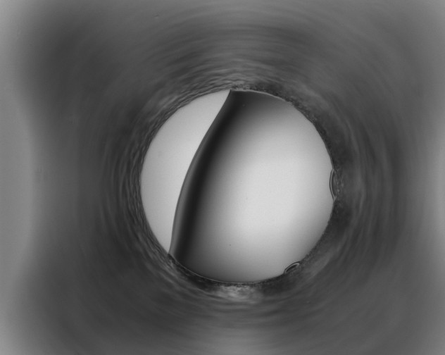 X0000088440137200705220922
