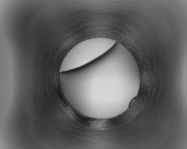 X0000088440138200705220922
