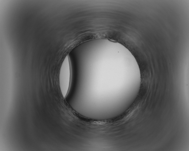 X0000088440139200705220922
