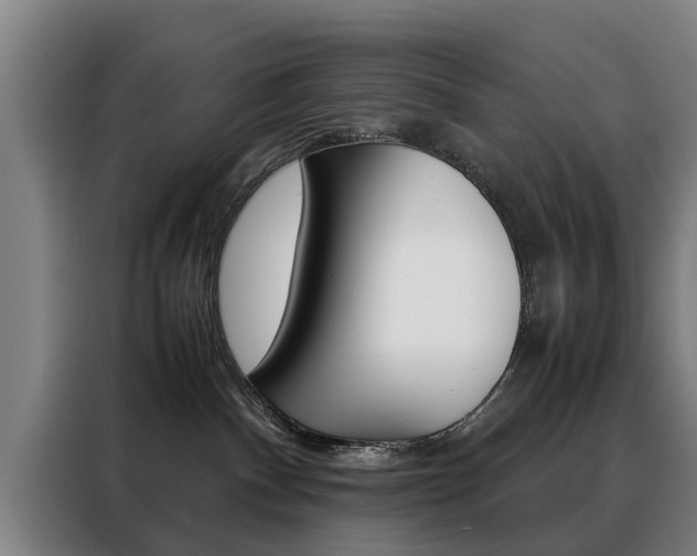 X0000088440140200705220922