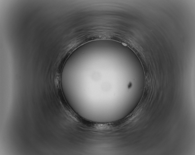 X0000088440141200705220922