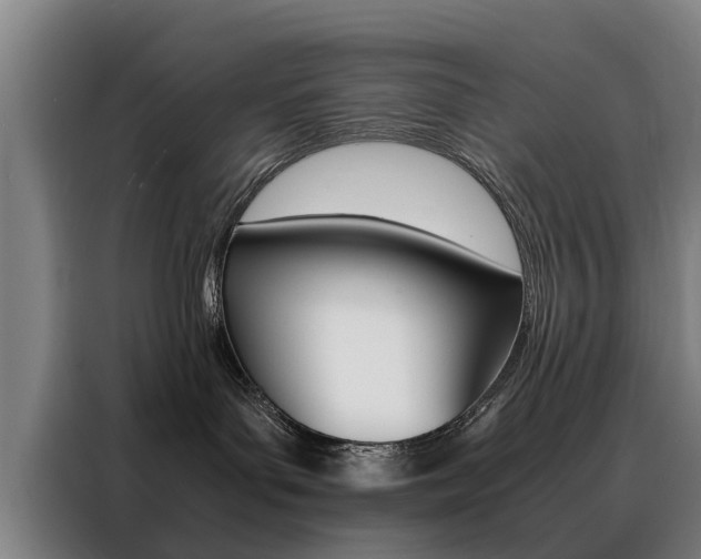 X0000088440143200705220922