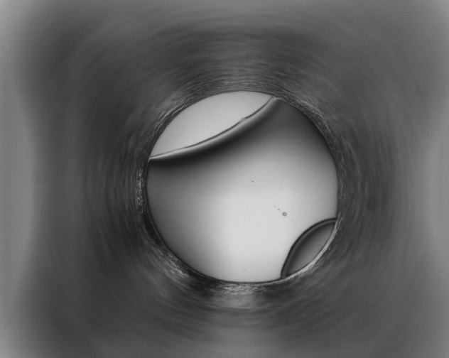 X0000088440144200705220922
