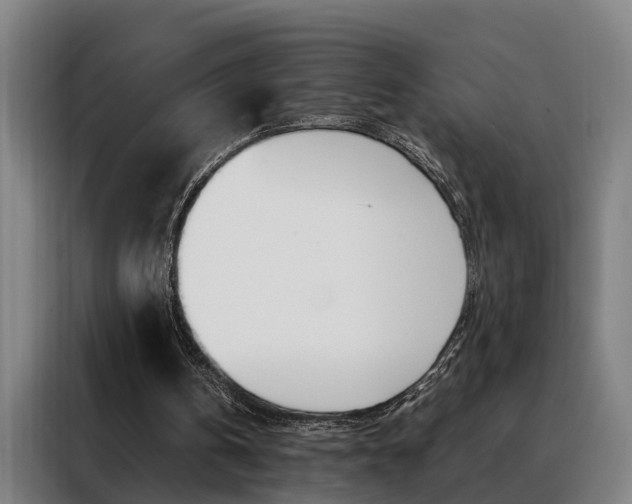 X0000088440146200705220922
