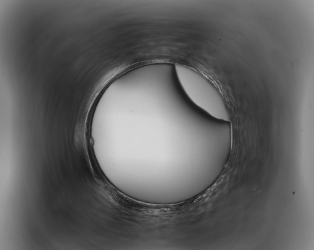 X0000088440147200705220922