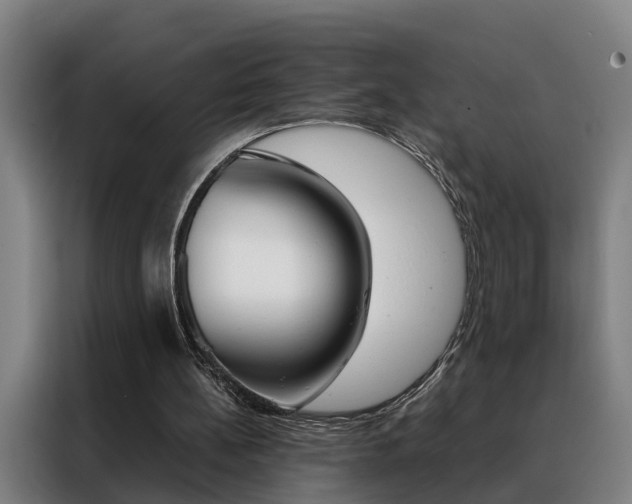 X0000088440148200705220922